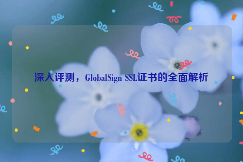 深入评测，GlobalSign SSL证书的全面解析