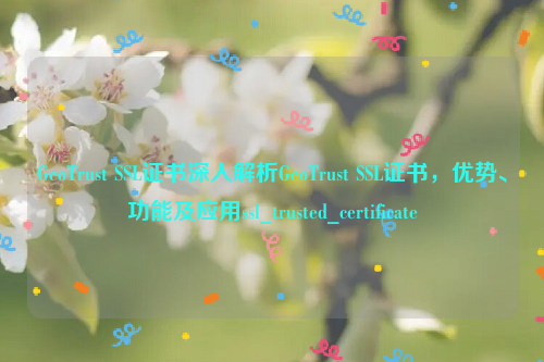 GeoTrust SSL证书深入解析GeoTrust SSL证书，优势、功能及应用ssl_trusted_certificate