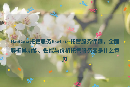 HostGator托管服务HostGator托管服务评测，全面解析其功能、性能与价格托管服务器是什么意思