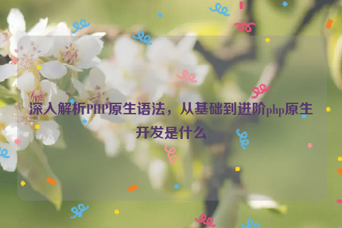 深入解析PHP原生语法，从基础到进阶php原生开发是什么