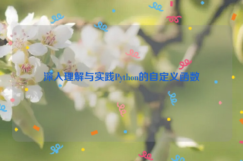 深入理解与实践Python的自定义函数