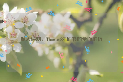 深入评测，Thawte SSL证书的全面解析