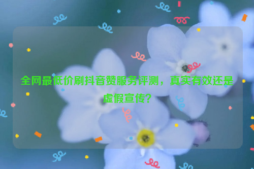 全网最低价刷抖音赞服务评测，真实有效还是虚假宣传？