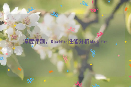 深度评测，Blackfire性能分析black fire