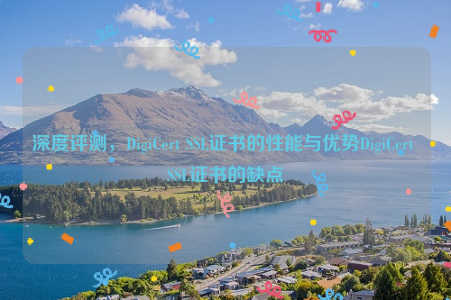 深度评测，DigiCert SSL证书的性能与优势DigiCert SSL证书的缺点