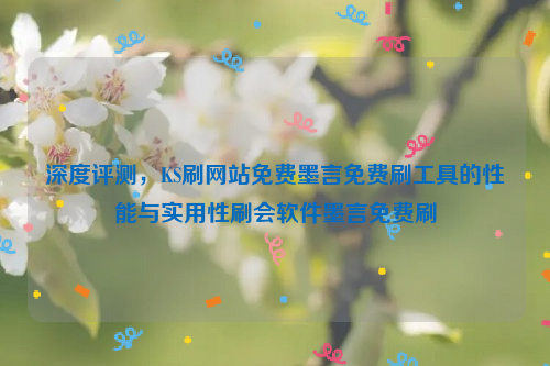 深度评测，KS刷网站免费墨言免费刷工具的性能与实用性刷会软件墨言免费刷