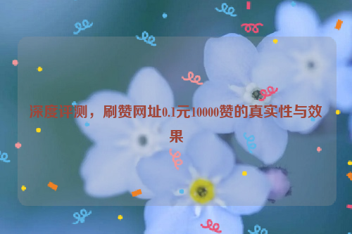 深度评测，刷赞网址0.1元10000赞的真实性与效果