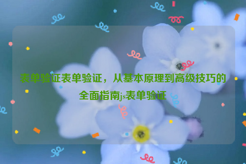 表单验证表单验证，从基本原理到高级技巧的全面指南js表单验证