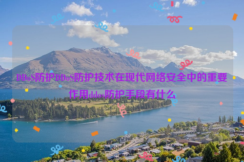 DDoS防护DDoS防护技术在现代网络安全中的重要作用ddos防护手段有什么