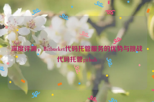 深度评测，Bitbucket代码托管服务的优势与挑战代码托管github