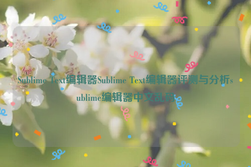 Sublime Text编辑器Sublime Text编辑器评测与分析sublime编辑器中文乱码