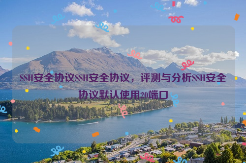 SSH安全协议SSH安全协议，评测与分析SSH安全协议默认使用20端口