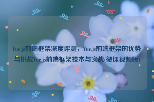 Vue.js前端框架深度评测，Vue.js前端框架的优势与挑战Vue.js前端框架技术与实战(微课视频版)