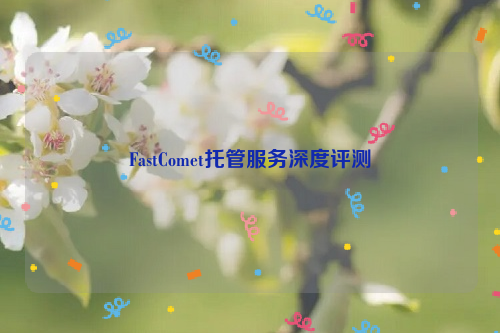 FastComet托管服务深度评测