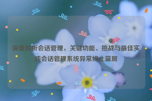 深度剖析会话管理，关键功能、挑战与最佳实践会话管理系统异常终止蓝屏