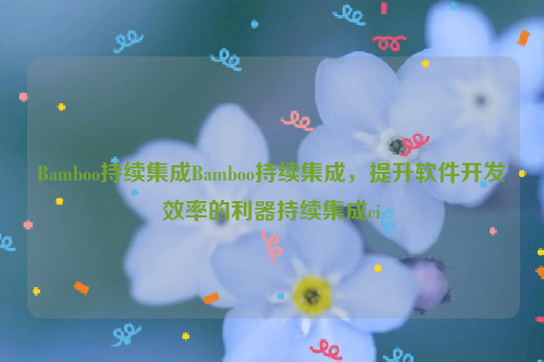 Bamboo持续集成Bamboo持续集成，提升软件开发效率的利器持续集成ci