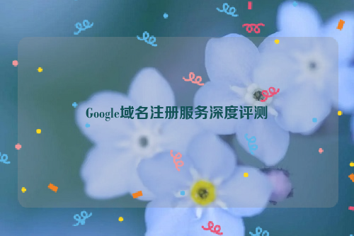 Google域名注册服务深度评测