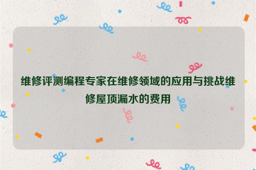 维修评测编程专家在维修领域的应用与挑战维修屋顶漏水的费用