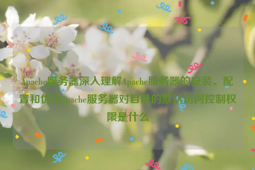 Apache服务器深入理解Apache服务器的安装、配置和优化apache服务器对目录的默认访问控制权限是什么