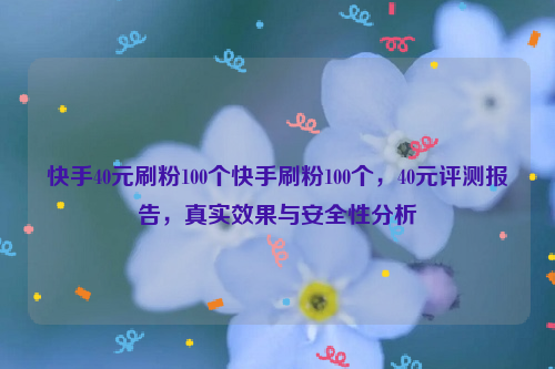 快手40元刷粉100个快手刷粉100个，40元评测报告，真实效果与安全性分析