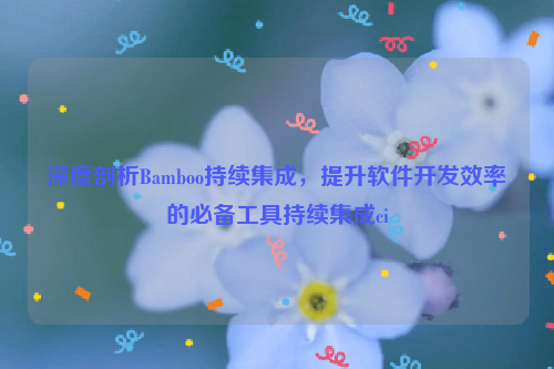 深度剖析Bamboo持续集成，提升软件开发效率的必备工具持续集成ci