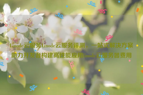 Linode云服务Linode云服务评测，一站式解决方案助力开发者构建高性能应用linode云服务器费用