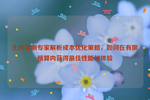 主机评测专家解析成本优化策略，如何在有限预算内获得最佳性能与体验