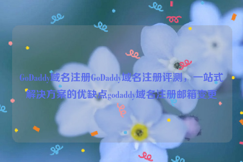 GoDaddy域名注册GoDaddy域名注册评测，一站式解决方案的优缺点godaddy域名注册邮箱变更