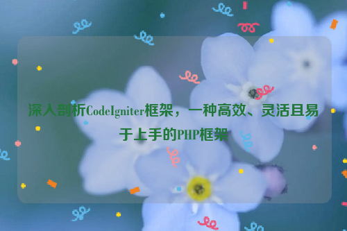 深入剖析CodeIgniter框架，一种高效、灵活且易于上手的PHP框架