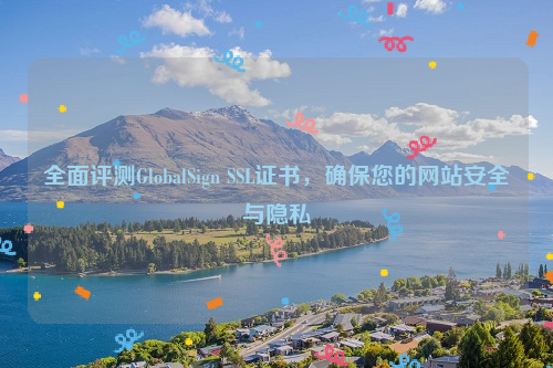 全面评测GlobalSign SSL证书，确保您的网站安全与隐私