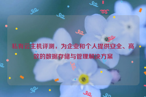 私有云主机评测，为企业和个人提供安全、高效的数据存储与管理解决方案