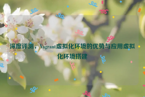 深度评测，Vagrant虚拟化环境的优势与应用虚拟化环境搭建