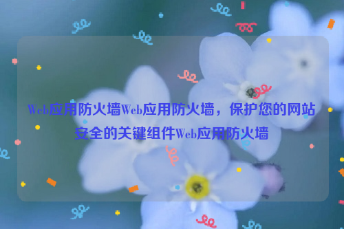 Web应用防火墙Web应用防火墙，保护您的网站安全的关键组件Web应用防火墙