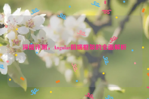 深度评测，Angular前端框架的全面解析