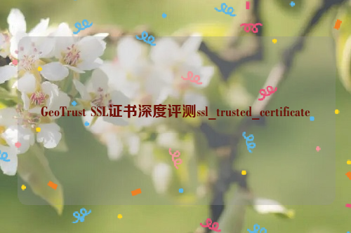 GeoTrust SSL证书深度评测ssl_trusted_certificate