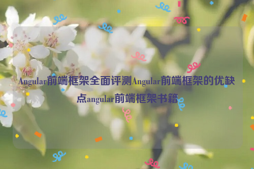 Angular前端框架全面评测Angular前端框架的优缺点angular前端框架书籍