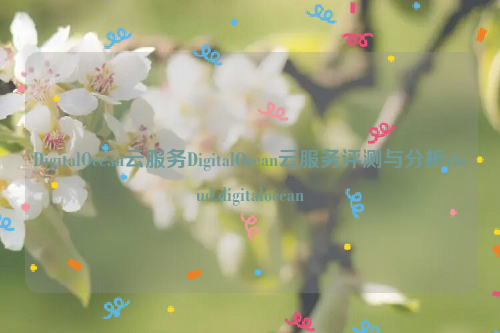 DigitalOcean云服务DigitalOcean云服务评测与分析cloud.digitalocean