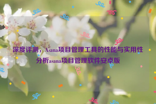 深度评测，Asana项目管理工具的性能与实用性分析asana项目管理软件安卓版