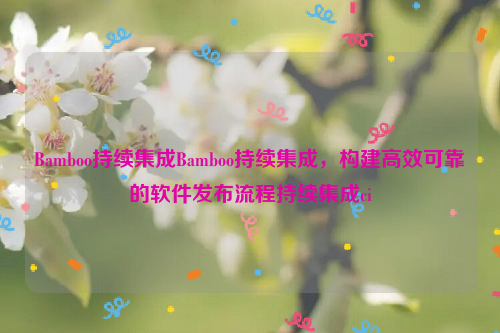 Bamboo持续集成Bamboo持续集成，构建高效可靠的软件发布流程持续集成ci