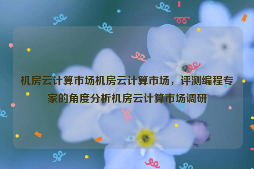 机房云计算市场机房云计算市场，评测编程专家的角度分析机房云计算市场调研