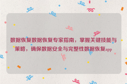 数据恢复数据恢复专家指南，掌握关键技能与策略，确保数据安全与完整性数据恢复app