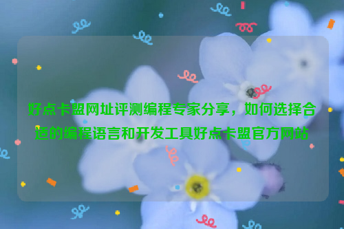 好点卡盟网址评测编程专家分享，如何选择合适的编程语言和开发工具好点卡盟官方网站