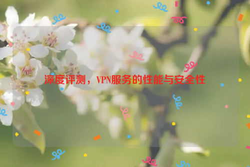 深度评测，VPN服务的性能与安全性