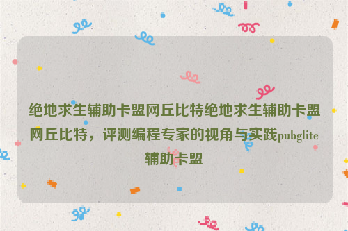 绝地求生辅助卡盟网丘比特绝地求生辅助卡盟网丘比特，评测编程专家的视角与实践pubglite辅助卡盟