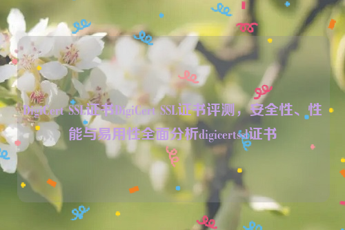 DigiCert SSL证书DigiCert SSL证书评测，安全性、性能与易用性全面分析digicertssl证书