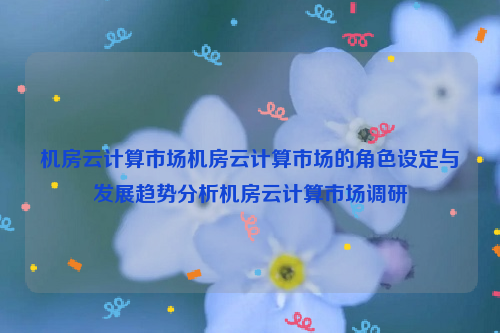 机房云计算市场机房云计算市场的角色设定与发展趋势分析机房云计算市场调研