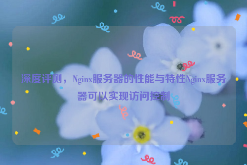 深度评测，Nginx服务器的性能与特性Nginx服务器可以实现访问控制