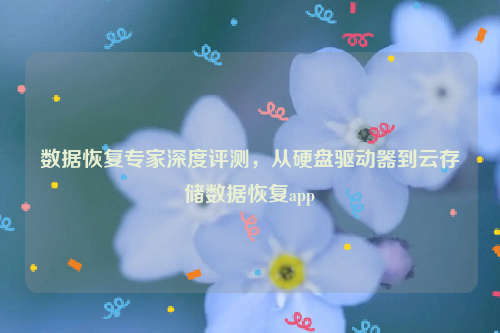 数据恢复专家深度评测，从硬盘驱动器到云存储数据恢复app