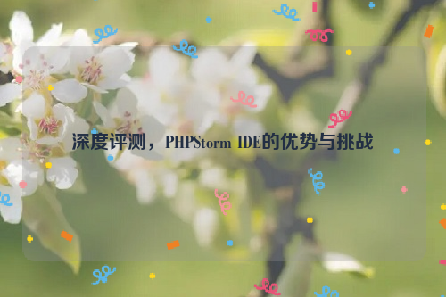 深度评测，PHPStorm IDE的优势与挑战