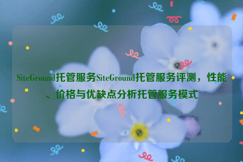 SiteGround托管服务SiteGround托管服务评测，性能、价格与优缺点分析托管服务模式